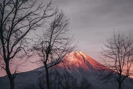 你能够跨越山海吗怎么回复