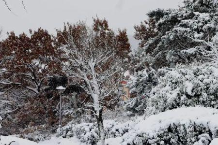 一场雪诠释了整个冬天