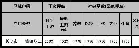 社保基数1.0是什么水平