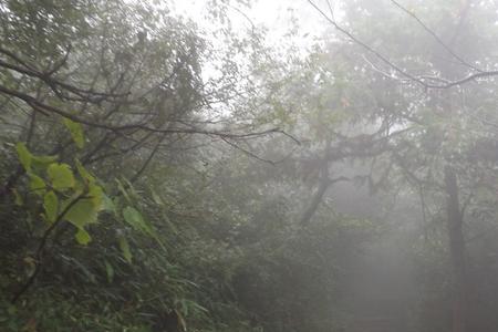 为什么山顶容易下雨