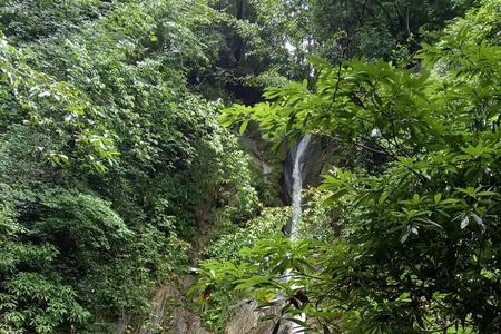 高山清泉18集介绍