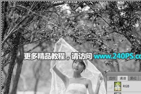 用photoshop抠图,拍照时用什么背景最好