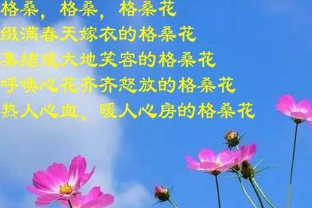 你是我的格桑花歌词意思