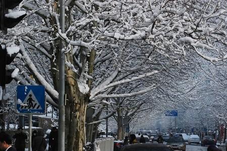 今年冬天能还有大雪么