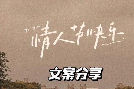 中年人发的情人节文案