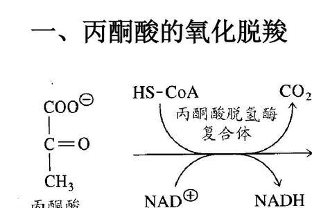 三羧酸的名词解释