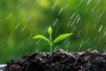 北方的雨水是从哪个方向来的