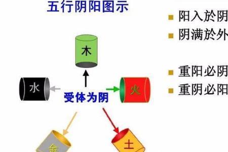 阴阳一体的意思