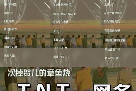 TNT时代少年团女生唯美网名