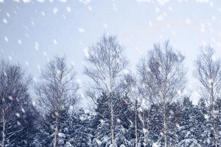 雪花诗唐代虞仲文的译文