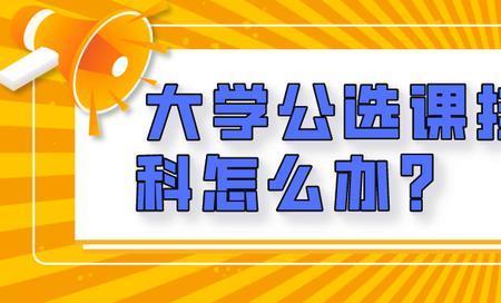 选修课挂科，可以拿励志奖学金吗