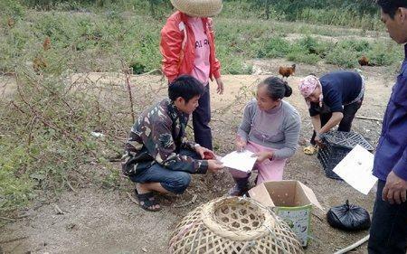 农村人分家什么时候分最好