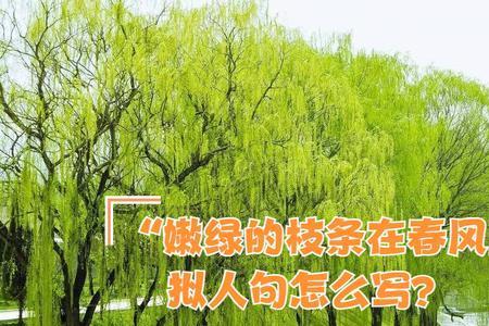 春风吹来了。改为拟人句怎么改