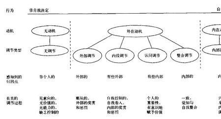 自我决定理论的三个基本心理