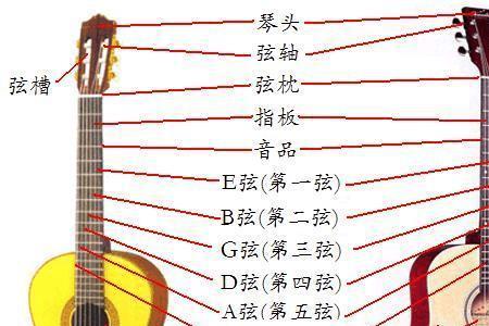 guitar中u为什么不发音