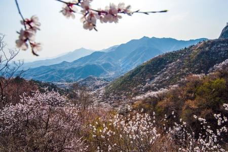 步行一山野，一步一春天什么意思