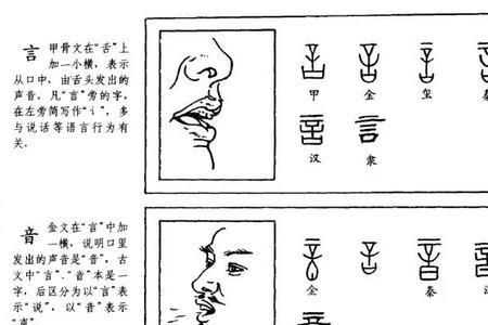 鸦字的演变过程