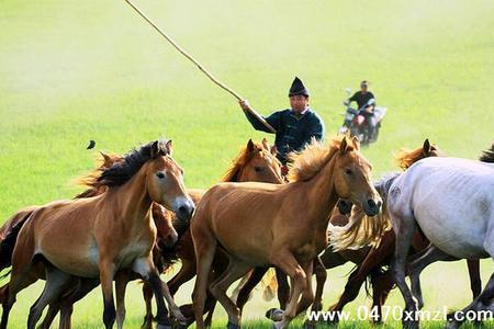 骑马旅游管理规定