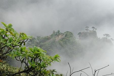 雨茫茫雾茫茫原唱版