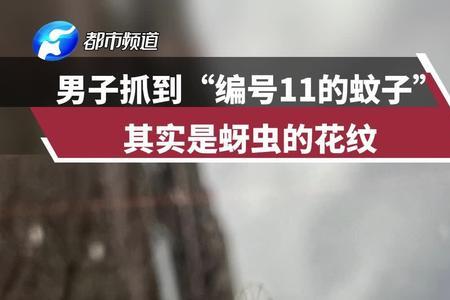 为什么捏死蚊子觉得很解压