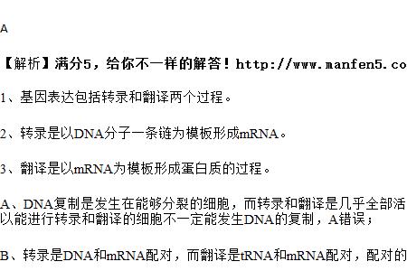 trna有几个游离碱基