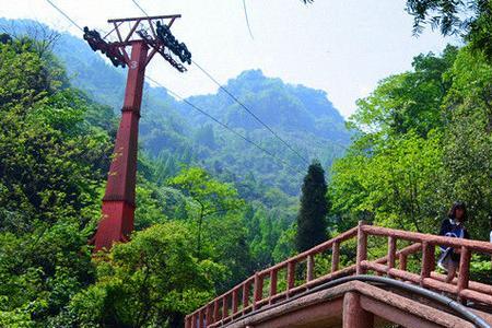 青城后山是几a景区