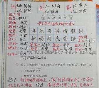 麻雀课文相似文章