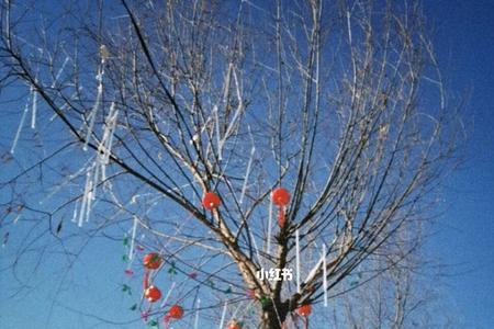 平息与平静怎么区别