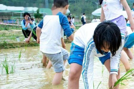 脱鞋下田后半句是什么