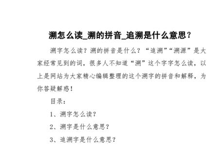 遂反溯流逆上矣的溯的意思