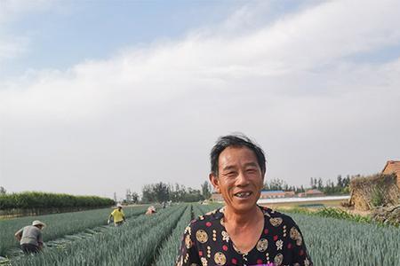 大葱杀茵药稀释多久失效