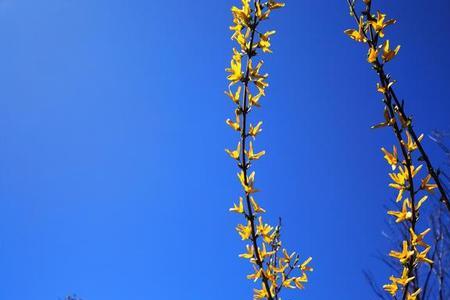 春去秋来百花香歌词