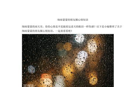 细雨蒙蒙表达心情的诗句