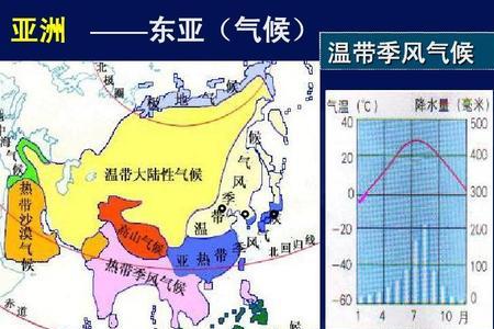 热带和温带哪个面积大