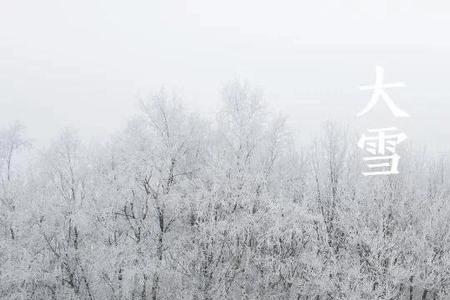 待到诗成雪已残这句话什么意思