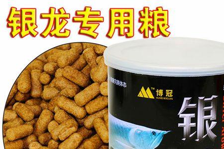 银龙鱼吃什么饲料最好