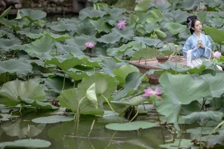 花满溪的溪是什么意思