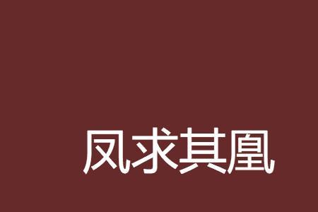 凤求其凰情侣网名