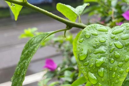 雨一直下连下三天打三个数字