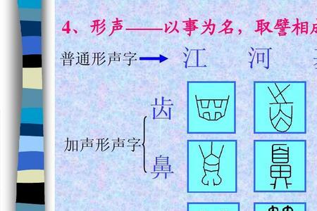 从造字法看足下的足属于什么