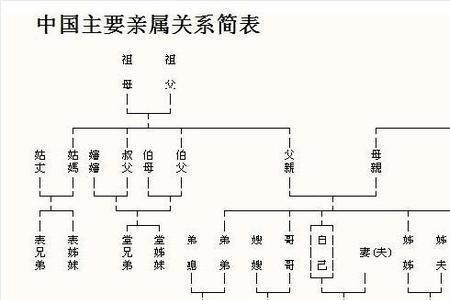 四不亲指的是什么亲戚