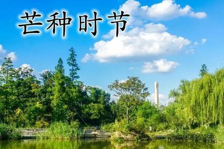 每年6月5日是什么节