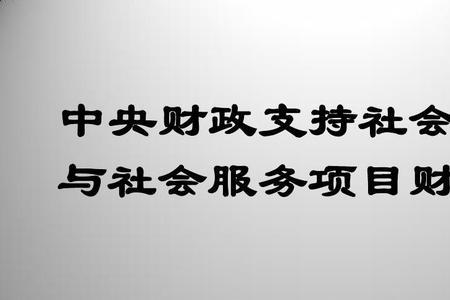 社会服务项目的管理费比例