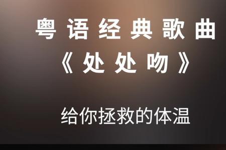 处处吻这首歌代表了什么意思呢