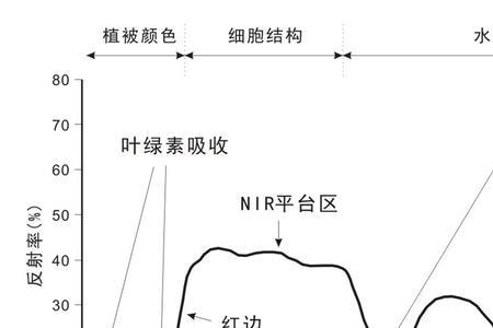 水面的反射率