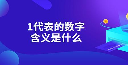 228数字代表什么意思