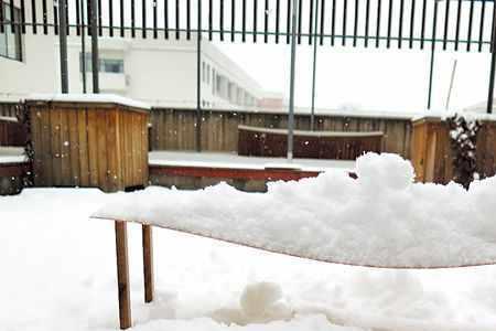 一平方雪多重