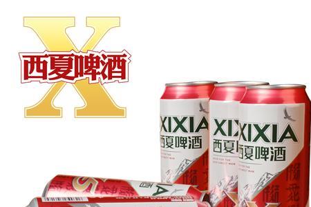 宁夏啤酒x5的详细介绍