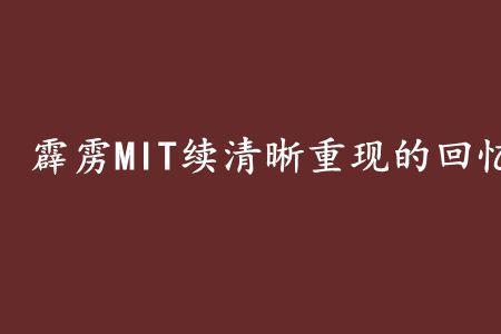 mit在小说中是什么意思