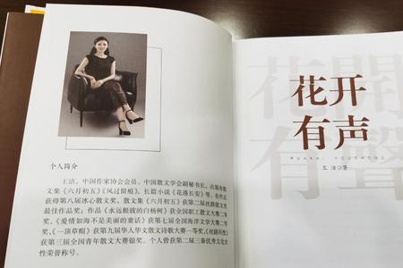 女主角叫王洁的小说